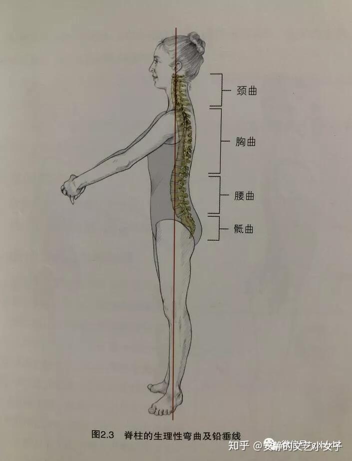 芭蕾舞丨浅谈中立位