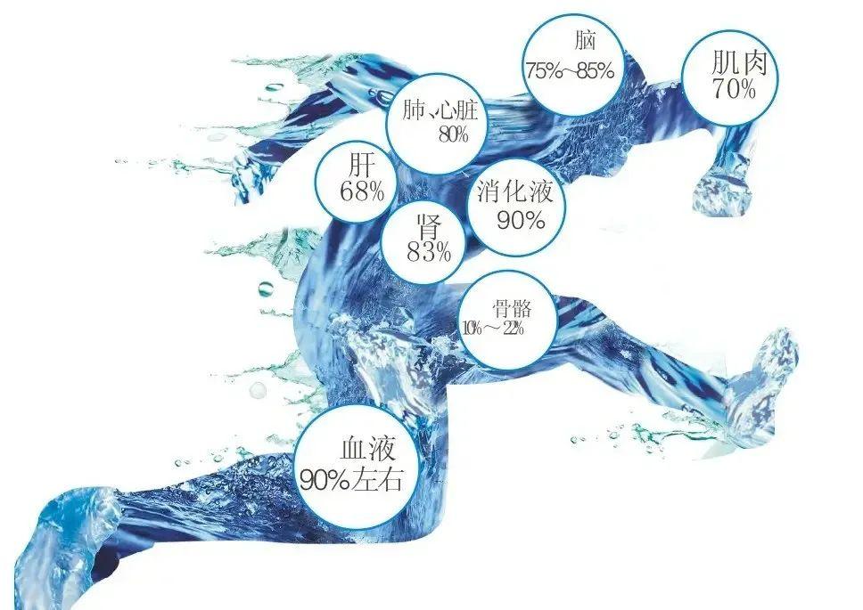 喝氫水對身體的改善調理作用有多大