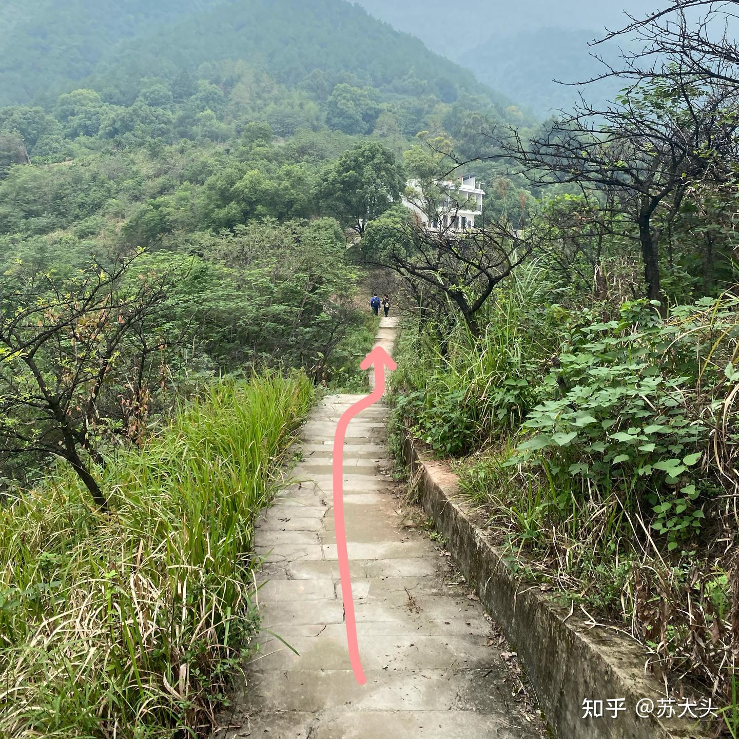 重庆徒步爬山圣地：缙云山免门票上山详细路线指引 - 知乎