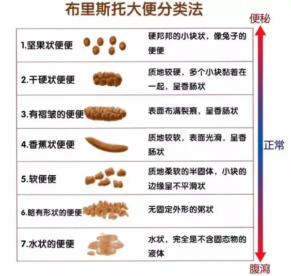 便便的形态有标准 当然