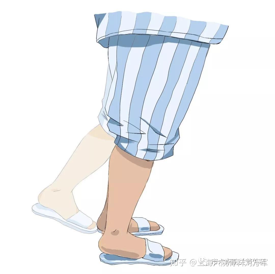 髋关节置换术围术期宣教