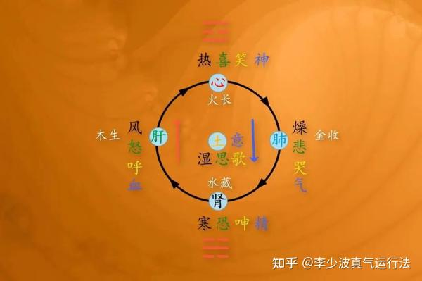 七情不和百病生，真气运行法疏情志、通气血，身心同调、更长寿 - 知乎