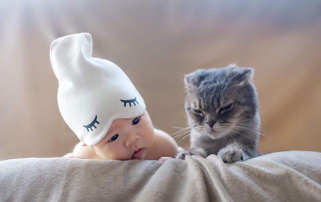 现代的家庭里面越来越多人拥有宠物跟宝宝,但是大多数都会告诉你宠物