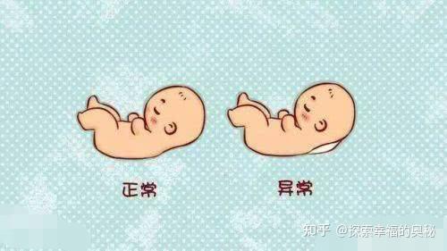 一般多久知道自己怀孕初期 v2-c864c49fbe05364fdaba970c5478bf1b_r.jpg