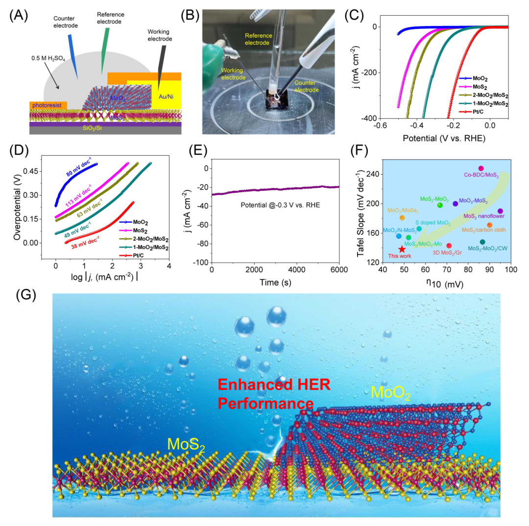 燕山大学薛天宇教授&翟昆教授&程迎春教授Carbon Energy：异质结界面电荷非对称分布促进电催化析氢性能提升 - 知乎