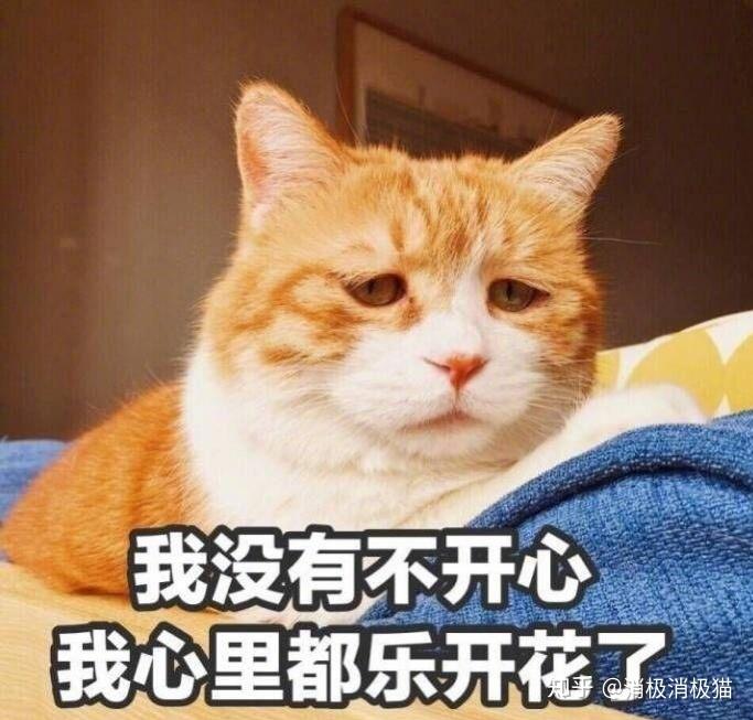 v2-c870c85f6f6c8e50f12771087e70157f_r.jpg