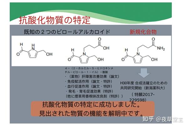 日本白雪茸横空出世，宣传十大功效是否合理- 知乎