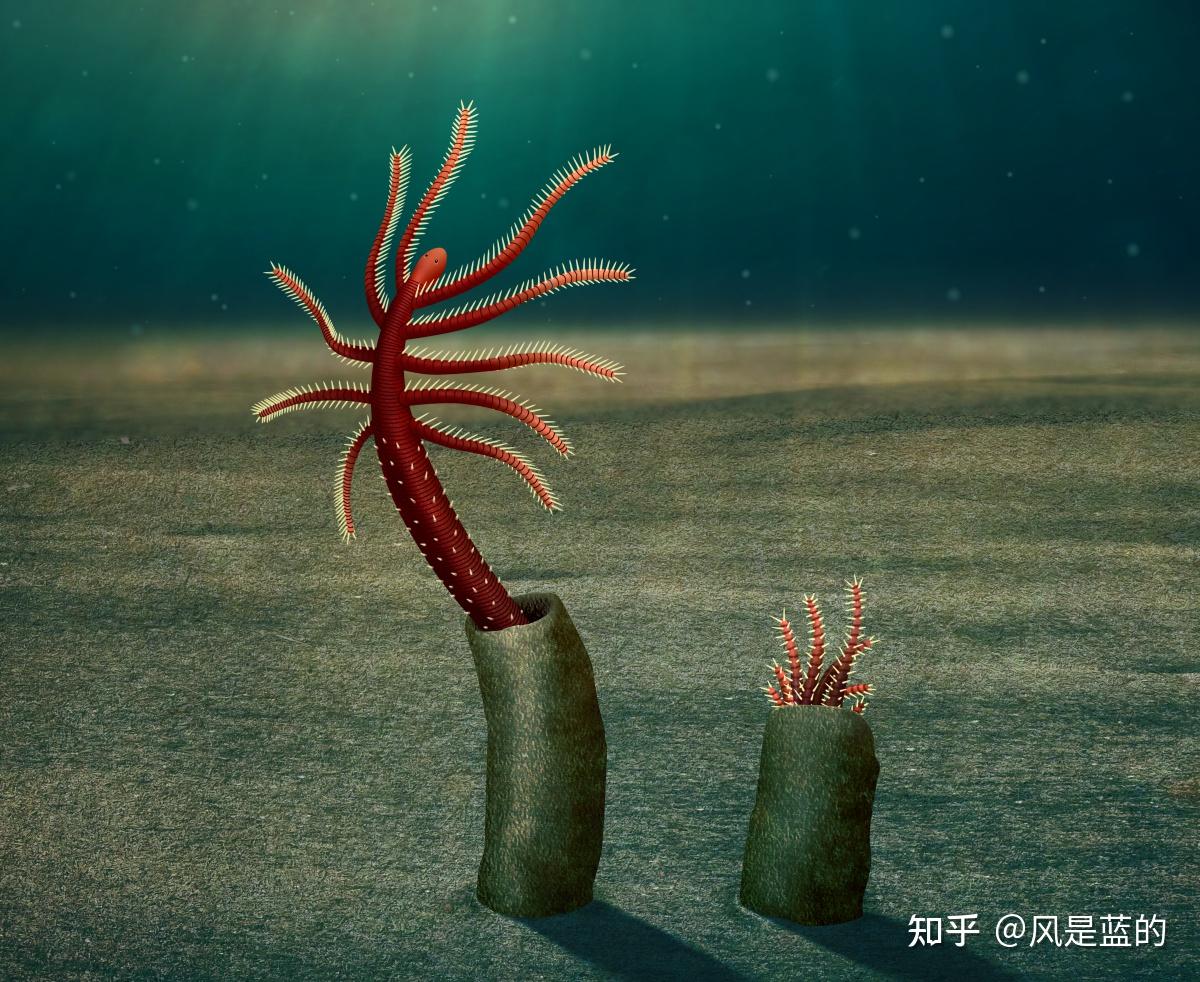 叶足动物门 Lobopodia的梳理 - 知乎