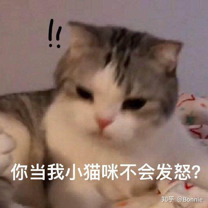 v2-c8840002c574ad811c71408ba00f1573_r.jpg