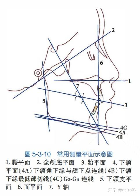 口腔 / 我和口腔科的故事