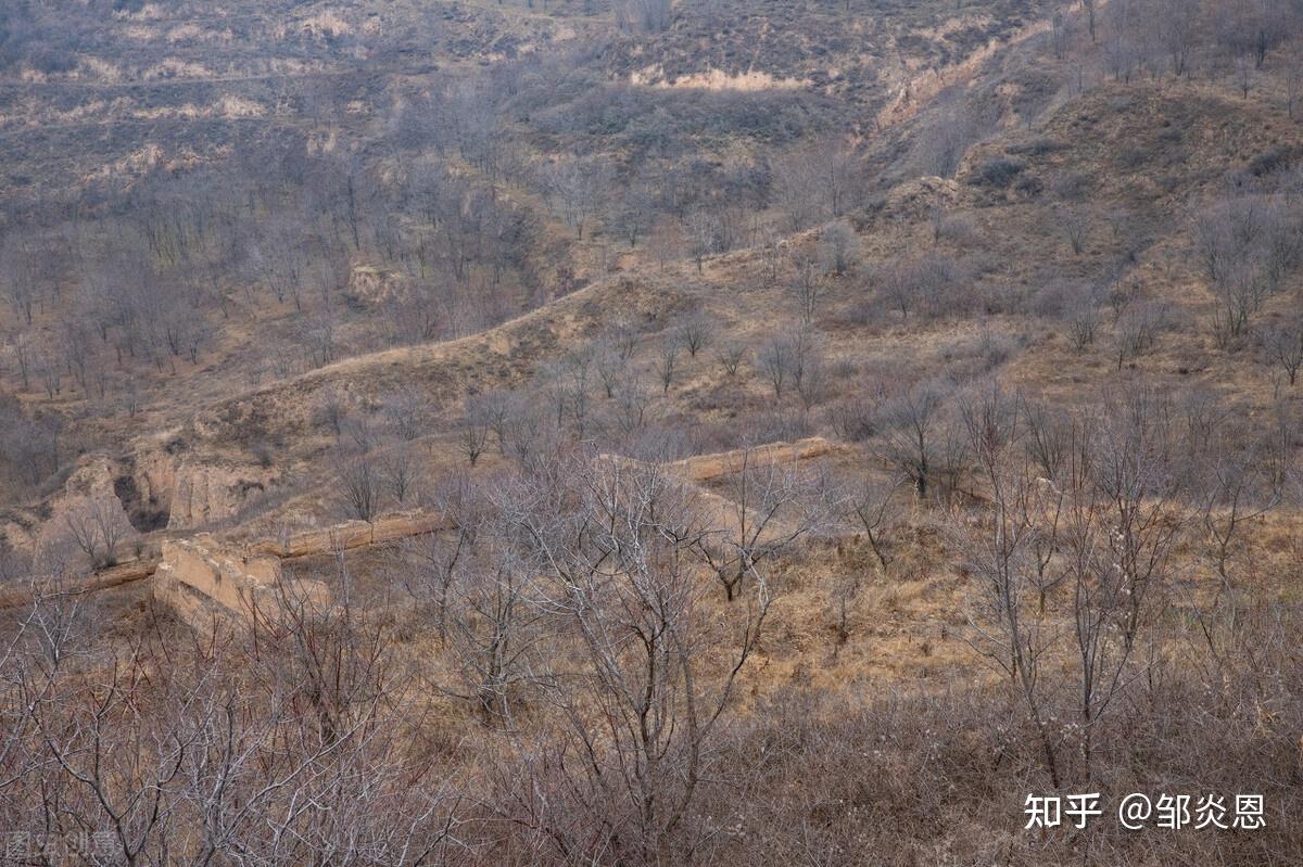 什么是农村四荒地可以对外承包吗