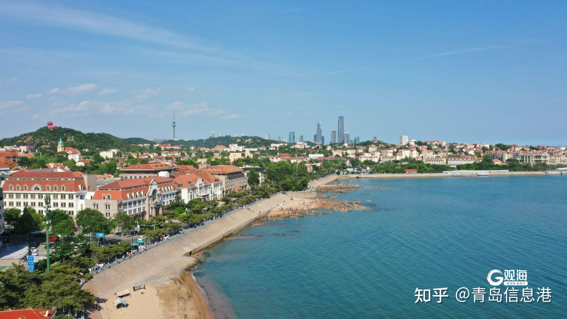 蓝绿交融!青岛夏日美景请查收