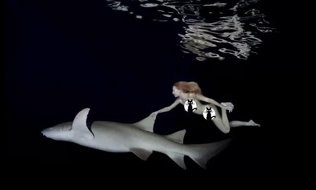 她赤身裸体与鲨鱼共泳只想证明大多数鲨鱼是不会吃人滴