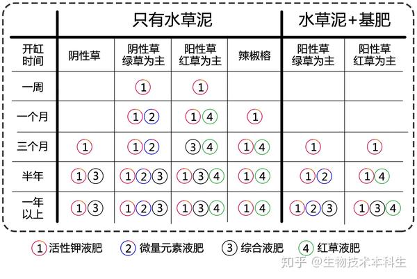 5大冷门开缸误区丨前两点老手都未必知道新手总被第5点困扰 知乎