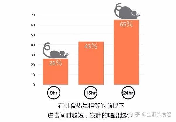 多量少餐更能瘦—间歇性断食