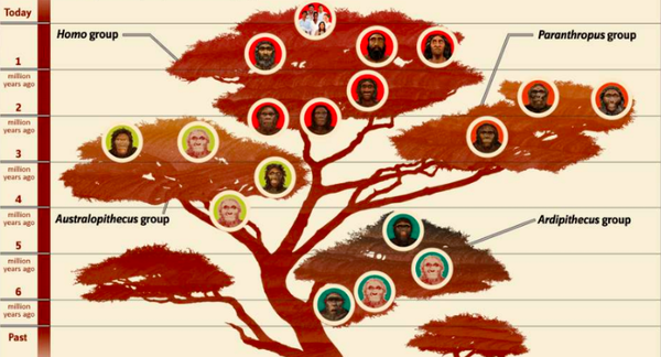 人类学:为什么说这门看似高冷的专业最贴近我们的生活? - 知乎