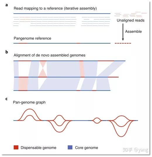 一文读懂泛基因组！ - 知乎