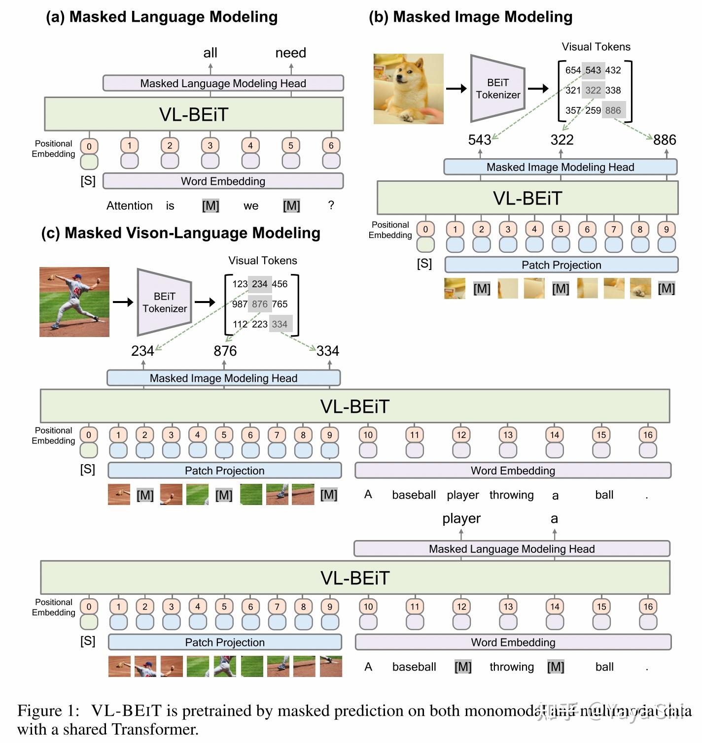 MIM For CV And VL mim-for-cv-and-vl