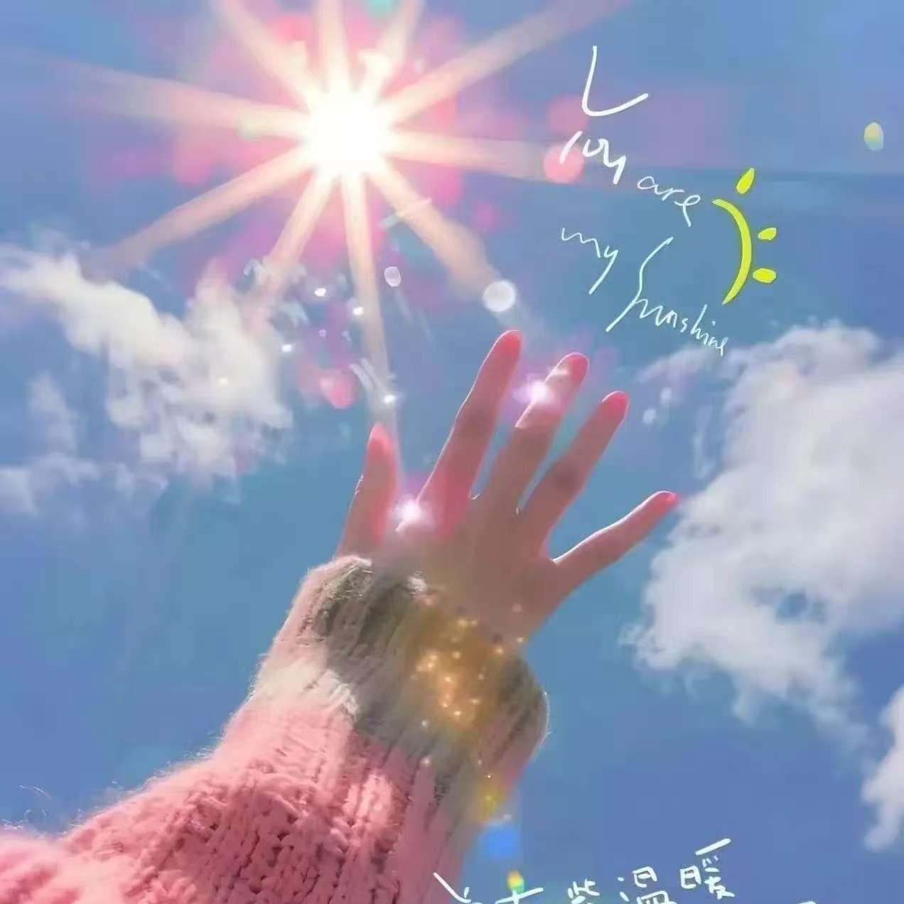 四叶草