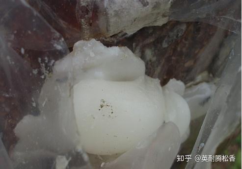 详细揭秘松香生产熬制全过程! - 知乎