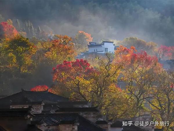 皖南的秋深了,不如放下一切,奔向皖秋 - 知乎
