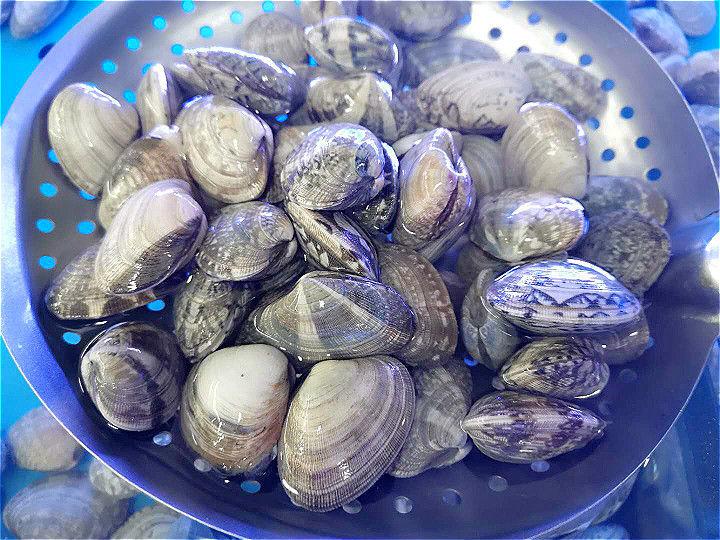 今天才知道 原来洗花蛤 不能只加盐 多加这3样 花蛤疯狂吐沙 知乎 今天才知道 原来洗花蛤 不能只加盐 多加这3样 花蛤疯狂吐沙 知乎