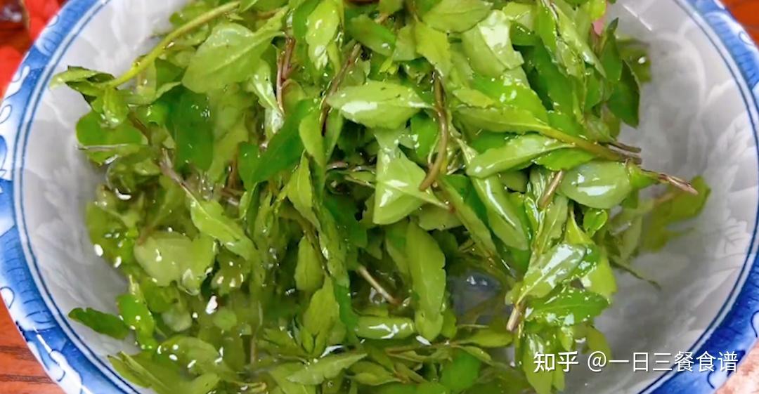 枸杞叶猪肝汤做法,营养美味,多吃对身体好。 - 知乎