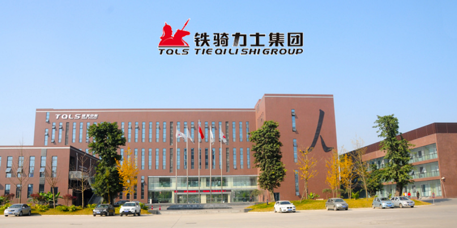 财务"去人工化"背后 铁骑力士如何撬动数智共享设计?