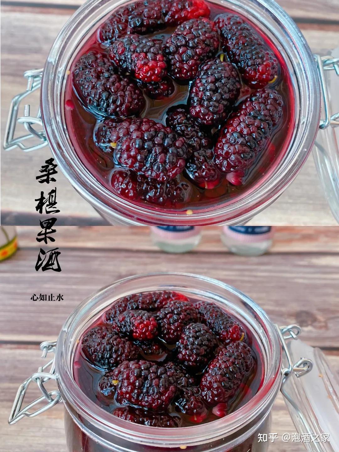 很多人喜欢桑葚泡酒你知道怎么配比味道更好吗