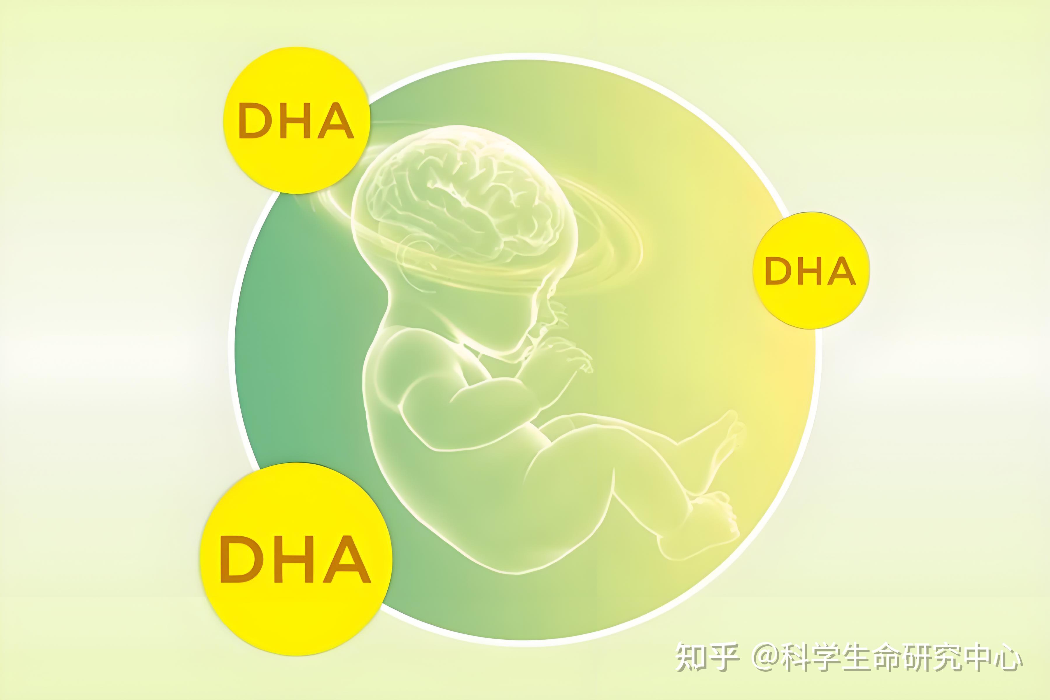 什么是DHA？海藻油与鱼油有何差异？DHA哪个牌子好？ - 知乎