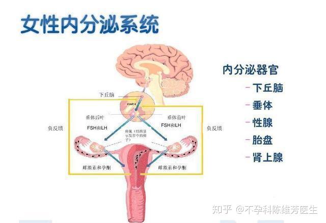 青岛妇科医院：守护女性健康的温暖港湾