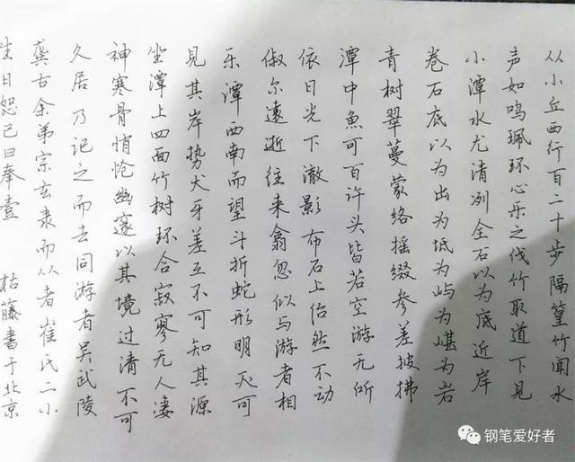 每週一篇鋼筆字柳宗元小石潭記手寫鋼筆字筆友習作欣賞