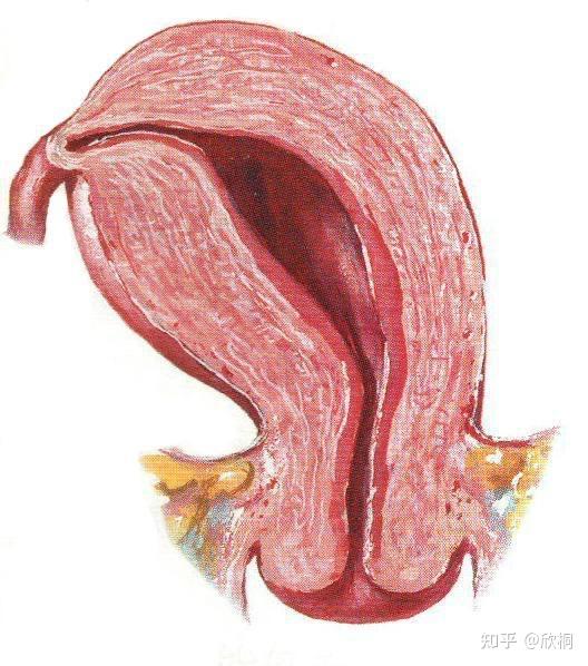 胎停2次保胎2次单角子宫高龄的我2020年顺利生娃