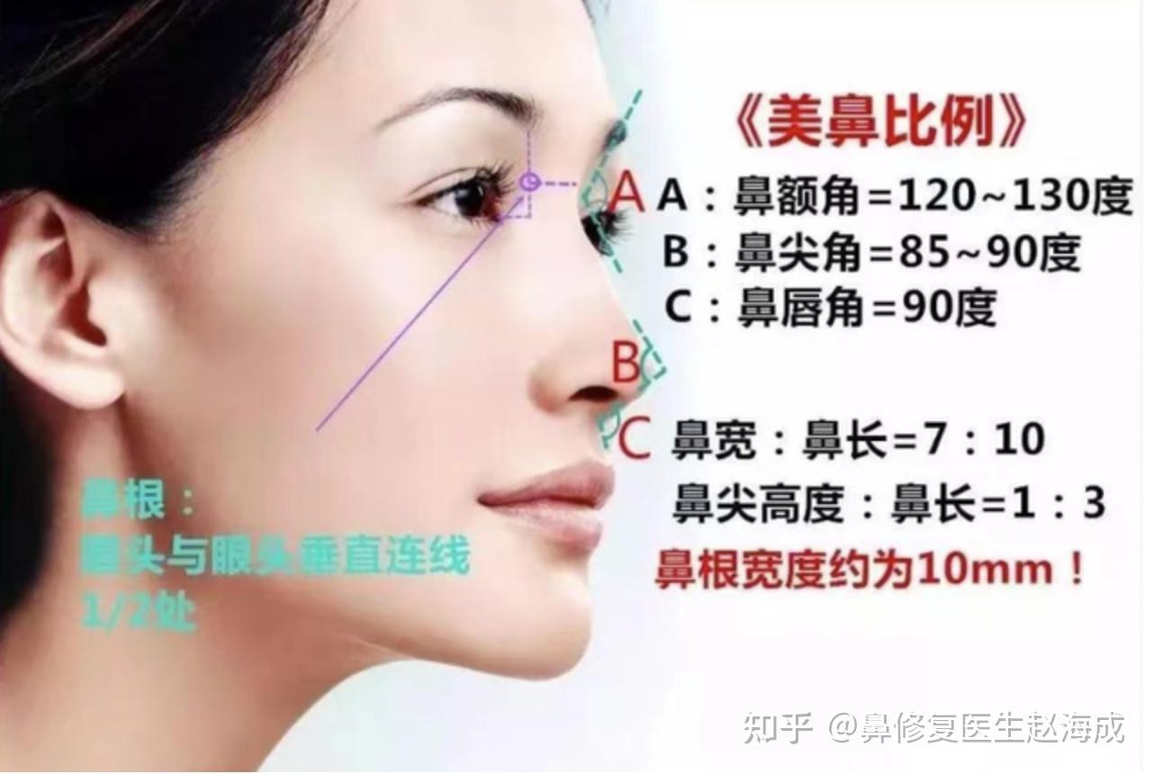 鼻整形的美学标准、常见手术项目、方法及术后护理 - 知乎