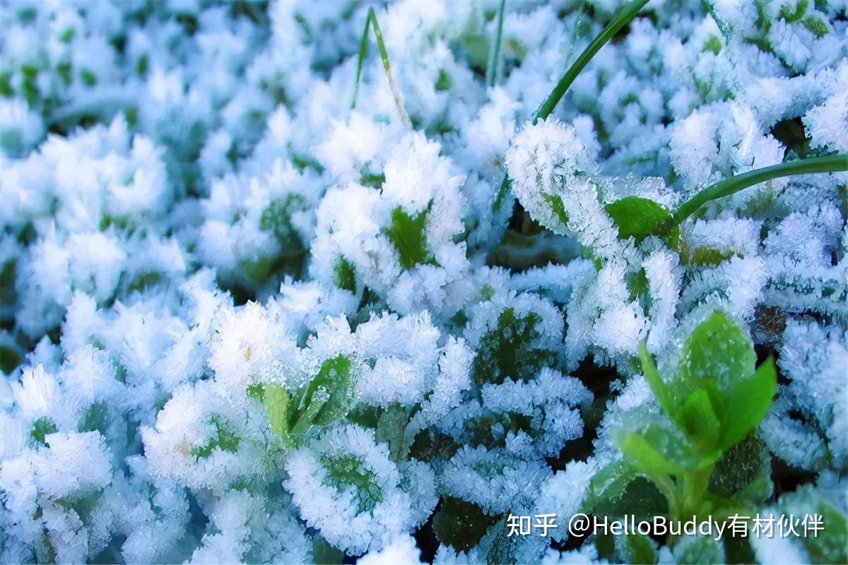 动物过冬的方法