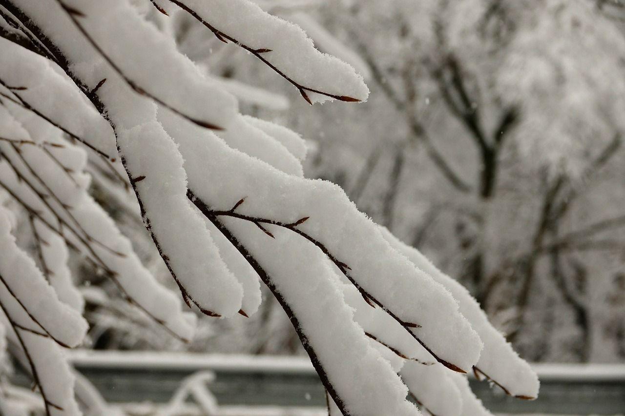 七绝 · 破雪(平水韵)