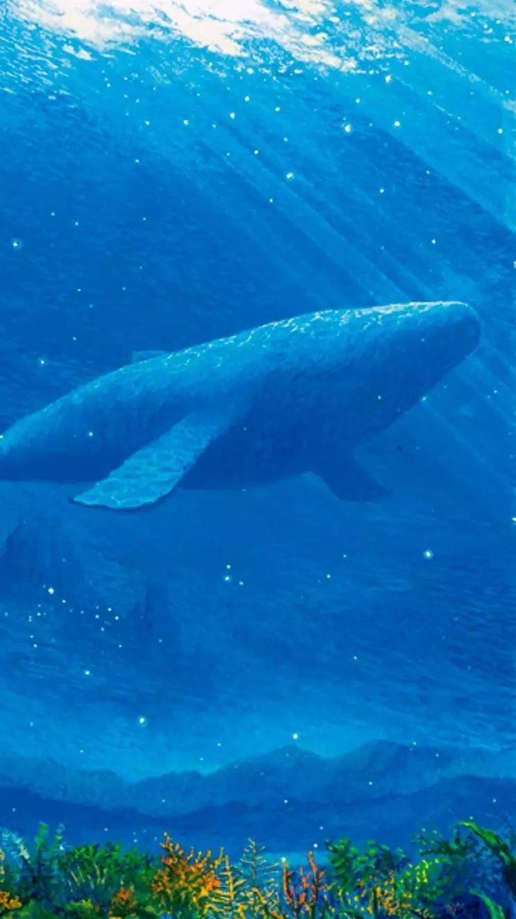 有没有关于鲸鱼的壁纸呢很喜欢一直找不到好看的