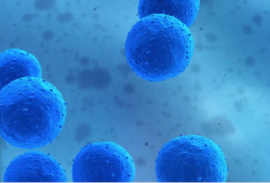 v2-c978144f4f7c2409ab7107061c05ed9e_1440w.jpg?source=172ae18b