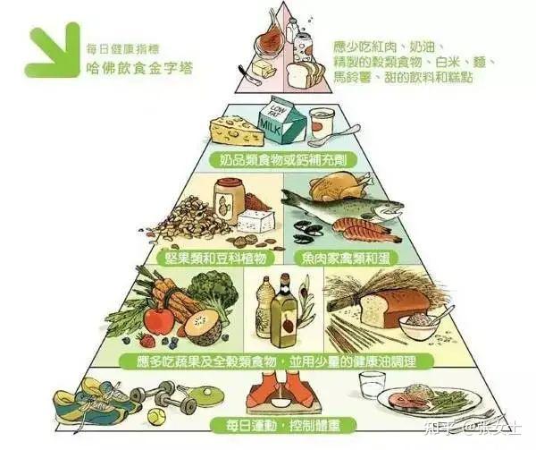 膳食結構比例通常是:脂肪與蛋白質和碳水化合物的比例為4:1或3:1.