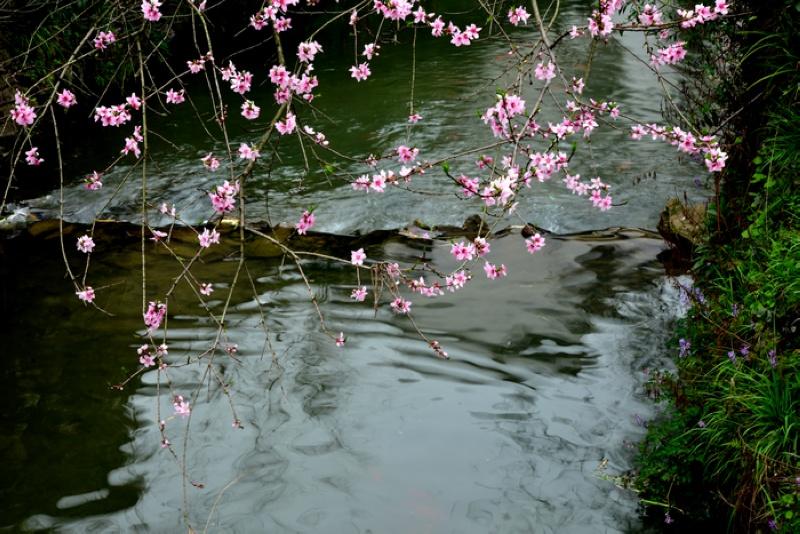 杜甫 春水 诗词赏析 三月桃花浪 江流复旧痕 知乎