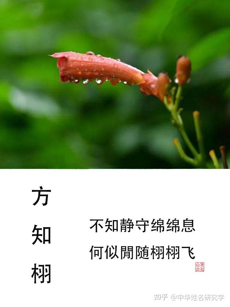方知栩|国学起名 - 知乎