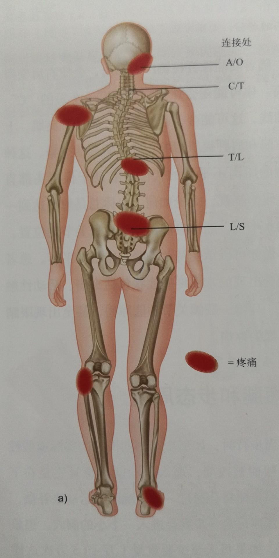 最伤骨的几种姿势 知乎