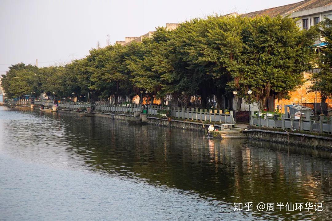 环华第28天雾城温州