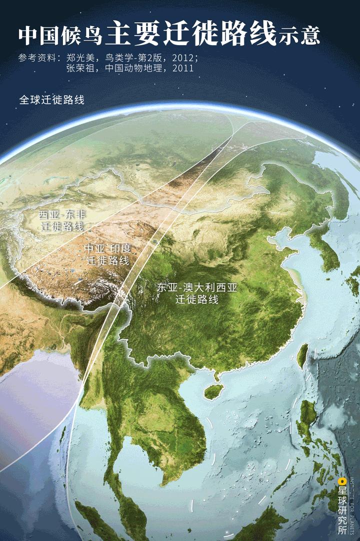 候鸟为什么要迁徙？迁徙路线是怎样的？ - 知乎
