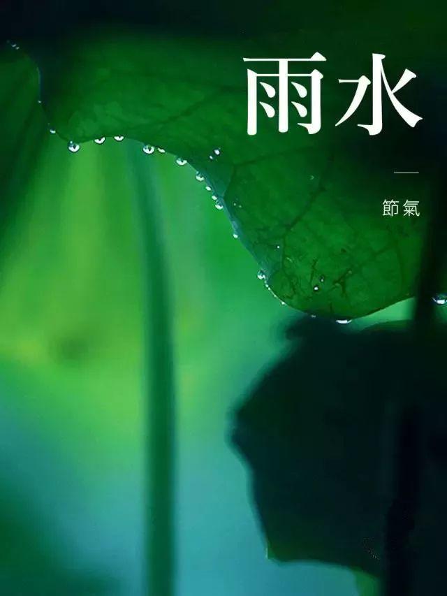 随风潜入夜,润物细无声. 雨水至,春意浓 春雨至,万物生.