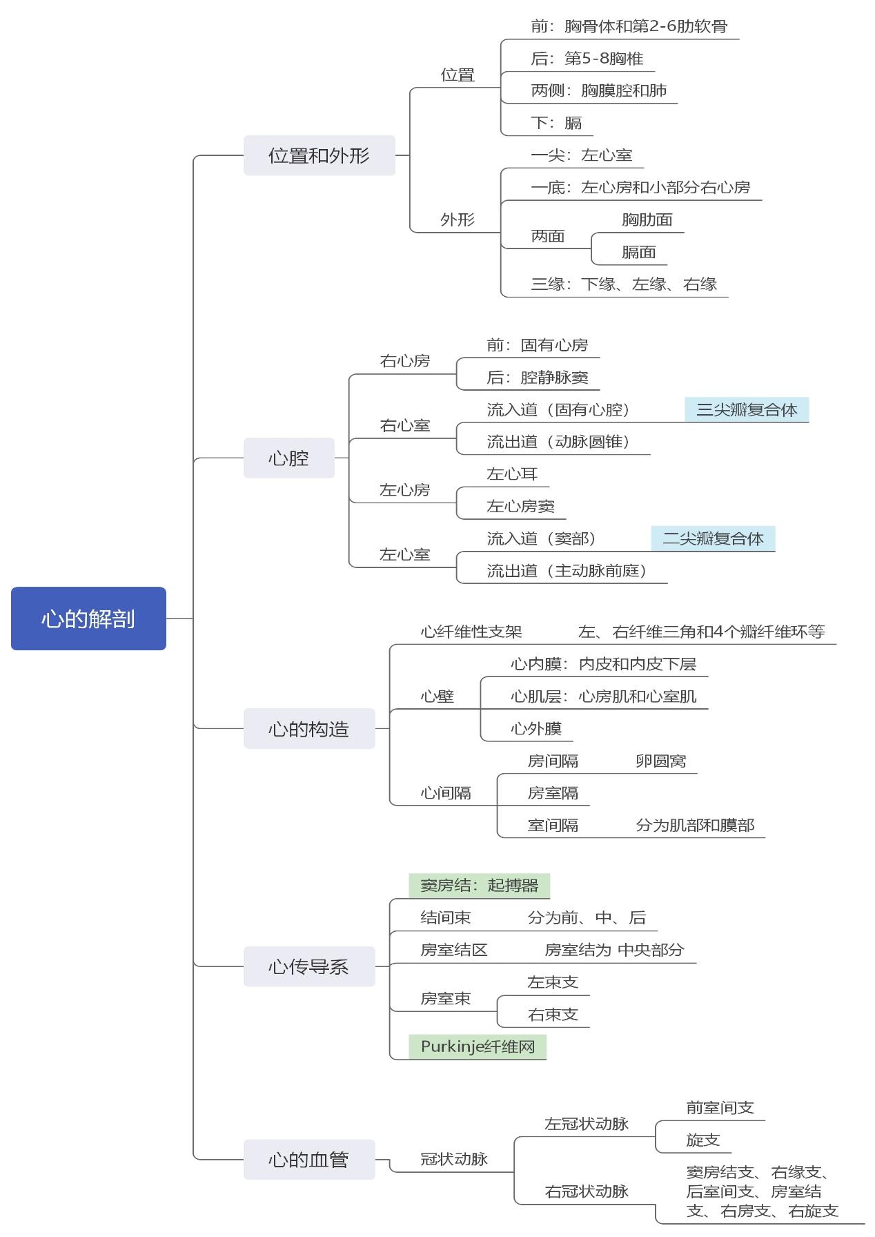 心功能图片