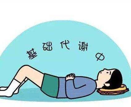 v2-c9b8be4661f5ecd725639cad35b01cdf_r.jpg