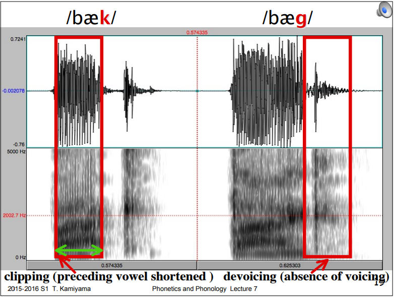 英语的b、d、g 究竟是清音还是浊音?