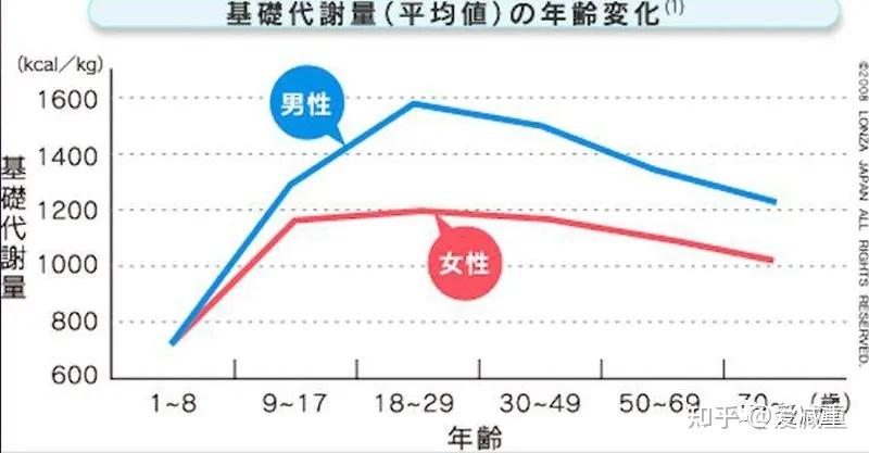 成年女性基础代谢图片