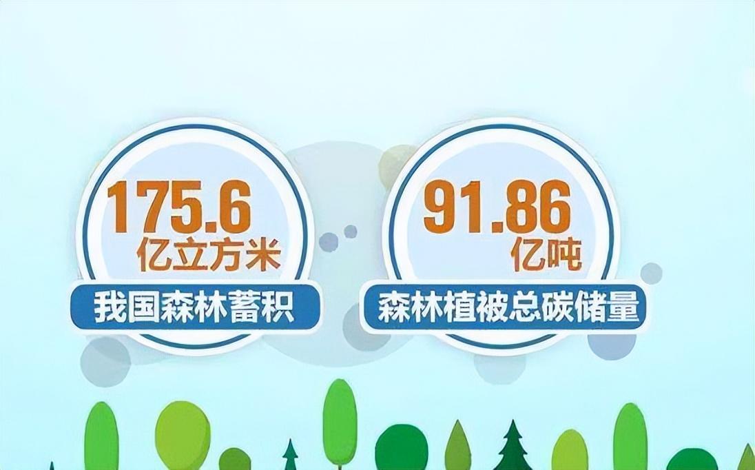 什么是林业碳汇?详细了解林业碳汇 - 知乎